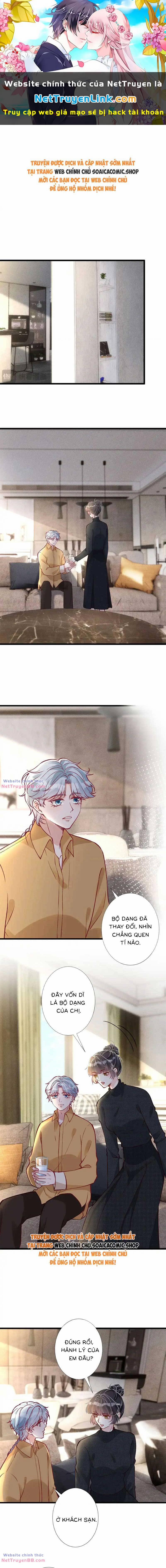 Ôm Khẩn Tiểu Mã Giáp Của Tôi 297 trang 0