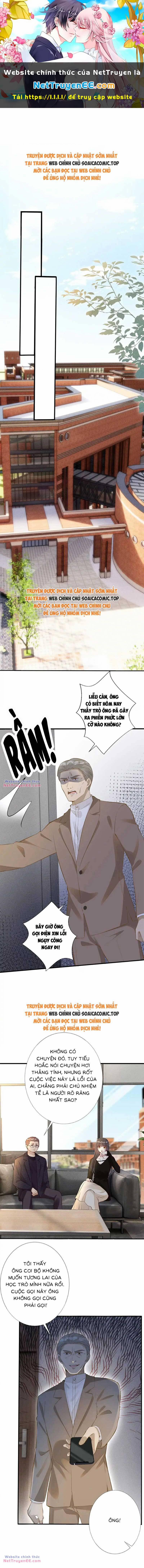 Ôm Khẩn Tiểu Mã Giáp Của Tôi 302 trang 0