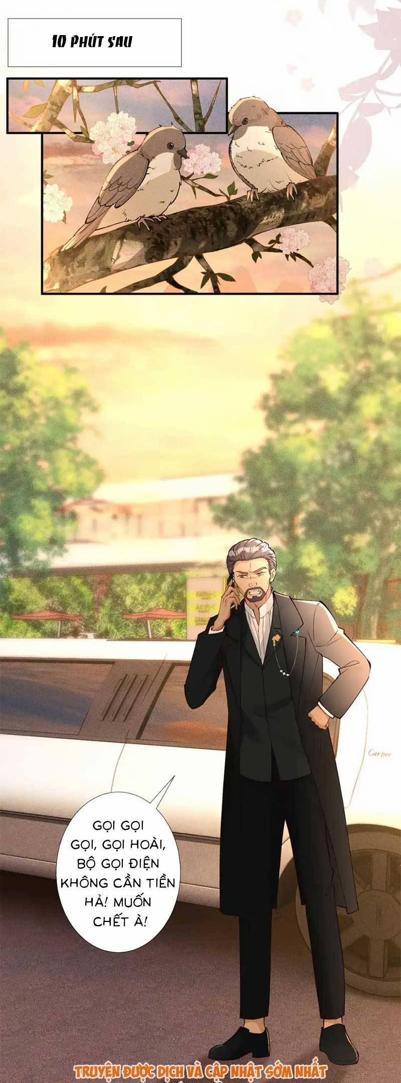 Ôm Khẩn Tiểu Mã Giáp Của Tôi 306 trang 3