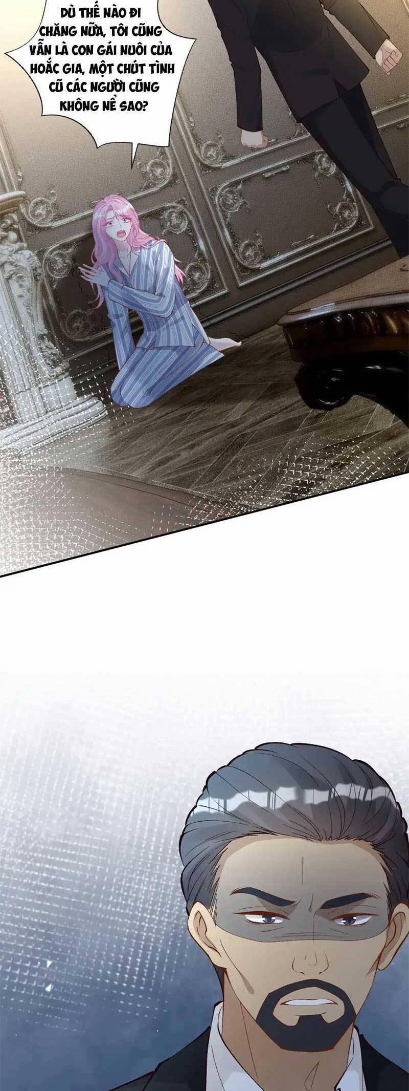 Ôm Khẩn Tiểu Mã Giáp Của Tôi 310 trang 10