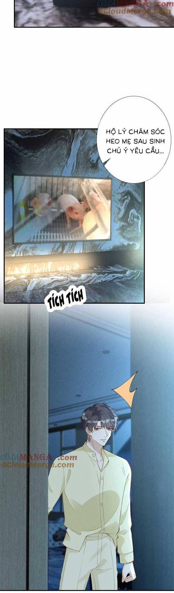 Ôm Khẩn Tiểu Mã Giáp Của Tôi 313 trang 14