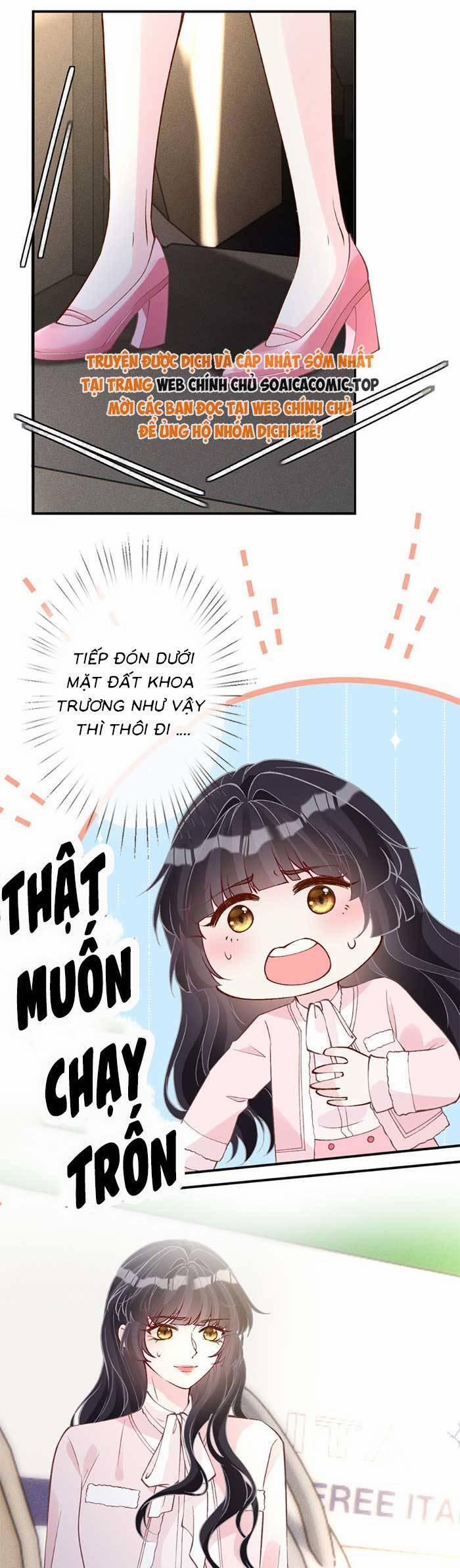 Ôm Khẩn Tiểu Mã Giáp Của Tôi 314 trang 23