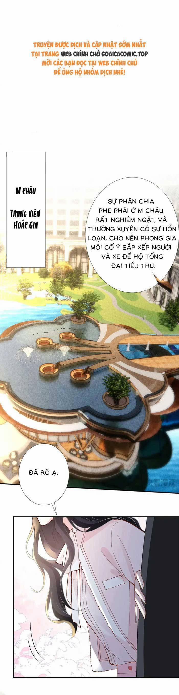 Ôm Khẩn Tiểu Mã Giáp Của Tôi 315 trang 0