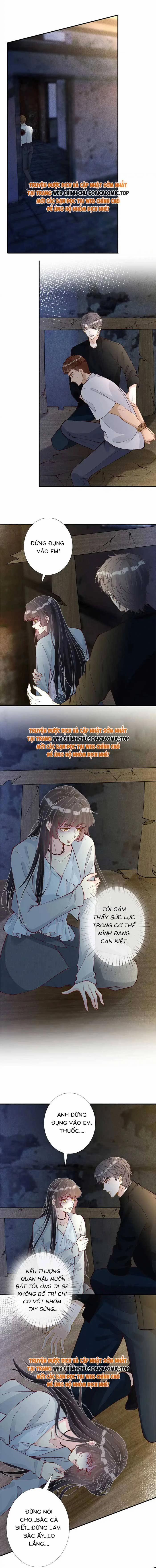 Ôm Khẩn Tiểu Mã Giáp Của Tôi 320 trang 3