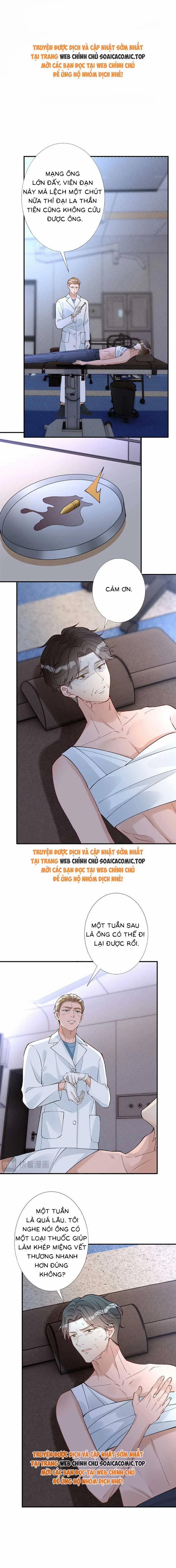 Ôm Khẩn Tiểu Mã Giáp Của Tôi 321 trang 0