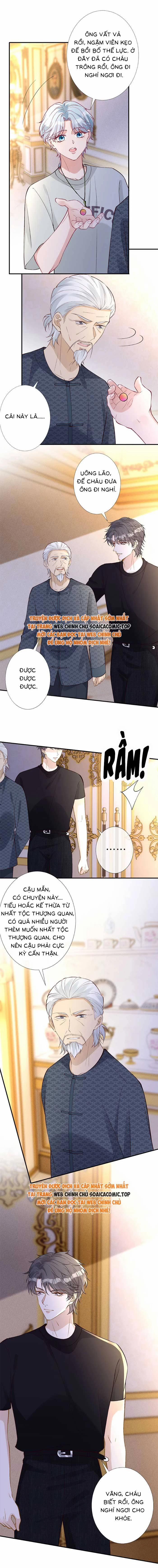 Ôm Khẩn Tiểu Mã Giáp Của Tôi 321 trang 6