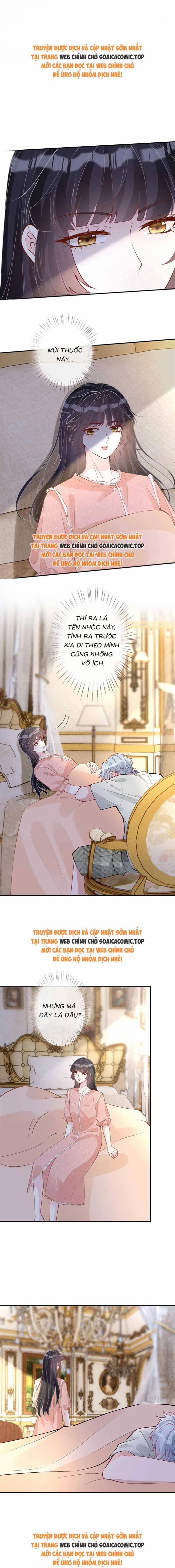 Ôm Khẩn Tiểu Mã Giáp Của Tôi 322 trang 0