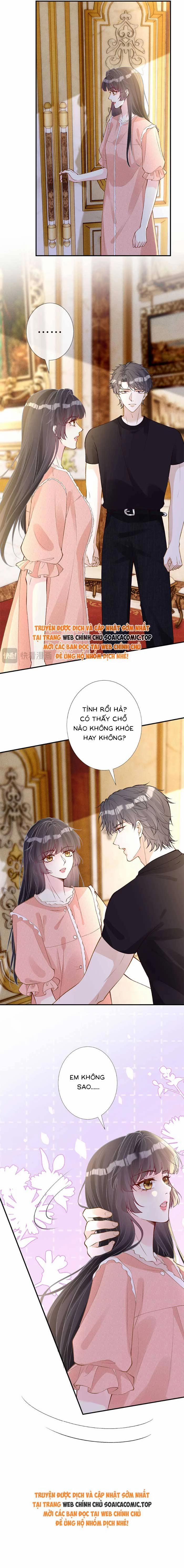 Ôm Khẩn Tiểu Mã Giáp Của Tôi 322 trang 1