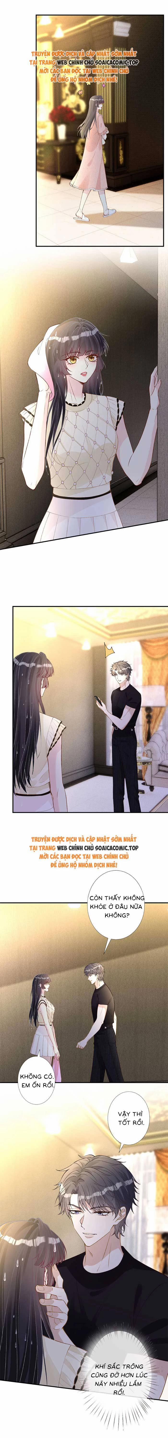 Ôm Khẩn Tiểu Mã Giáp Của Tôi 322 trang 6