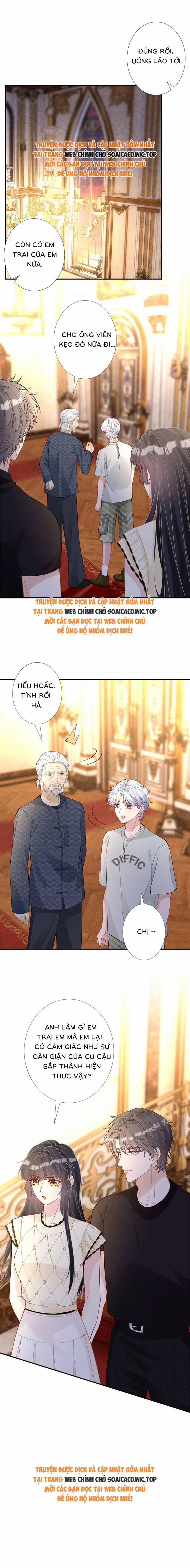 Ôm Khẩn Tiểu Mã Giáp Của Tôi 322 trang 8