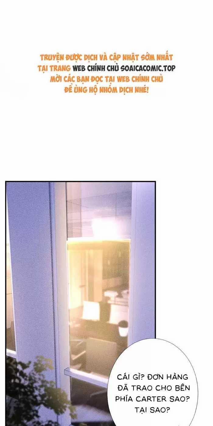 Ôm Khẩn Tiểu Mã Giáp Của Tôi 325 trang 1