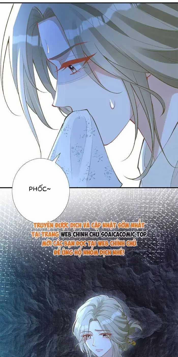 Ôm Khẩn Tiểu Mã Giáp Của Tôi 325 trang 24