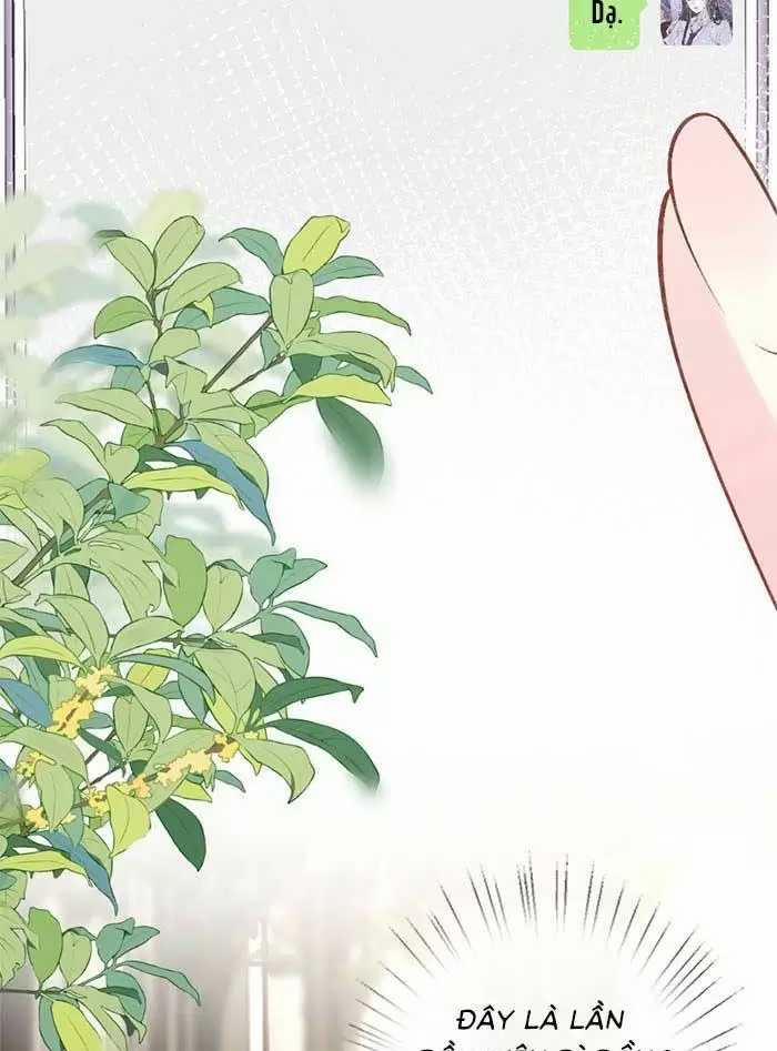 Ôm Khẩn Tiểu Mã Giáp Của Tôi 325 trang 26