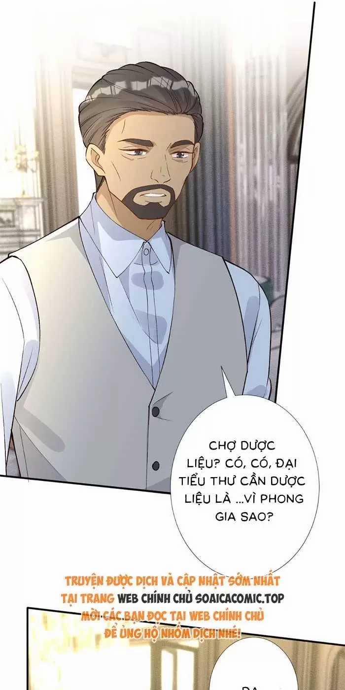 Ôm Khẩn Tiểu Mã Giáp Của Tôi 325 trang 33