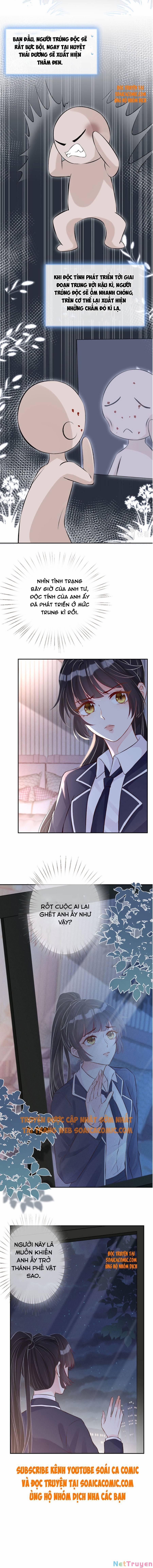 Ôm Khẩn Tiểu Mã Giáp Của Tôi 35 trang 4