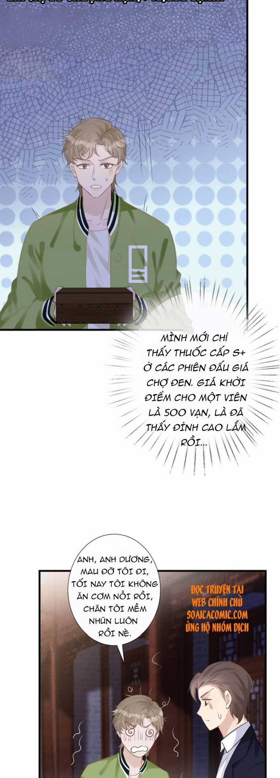 Ôm Khẩn Tiểu Mã Giáp Của Tôi 64 trang 16