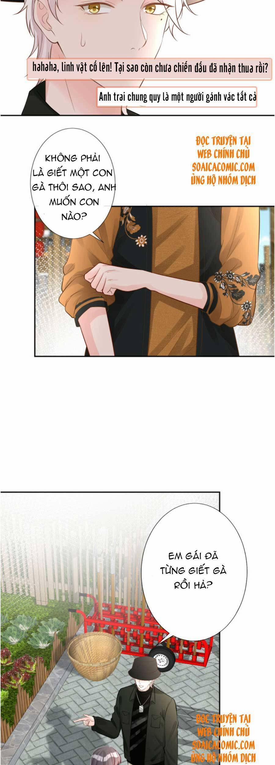 Ôm Khẩn Tiểu Mã Giáp Của Tôi 70 trang 11