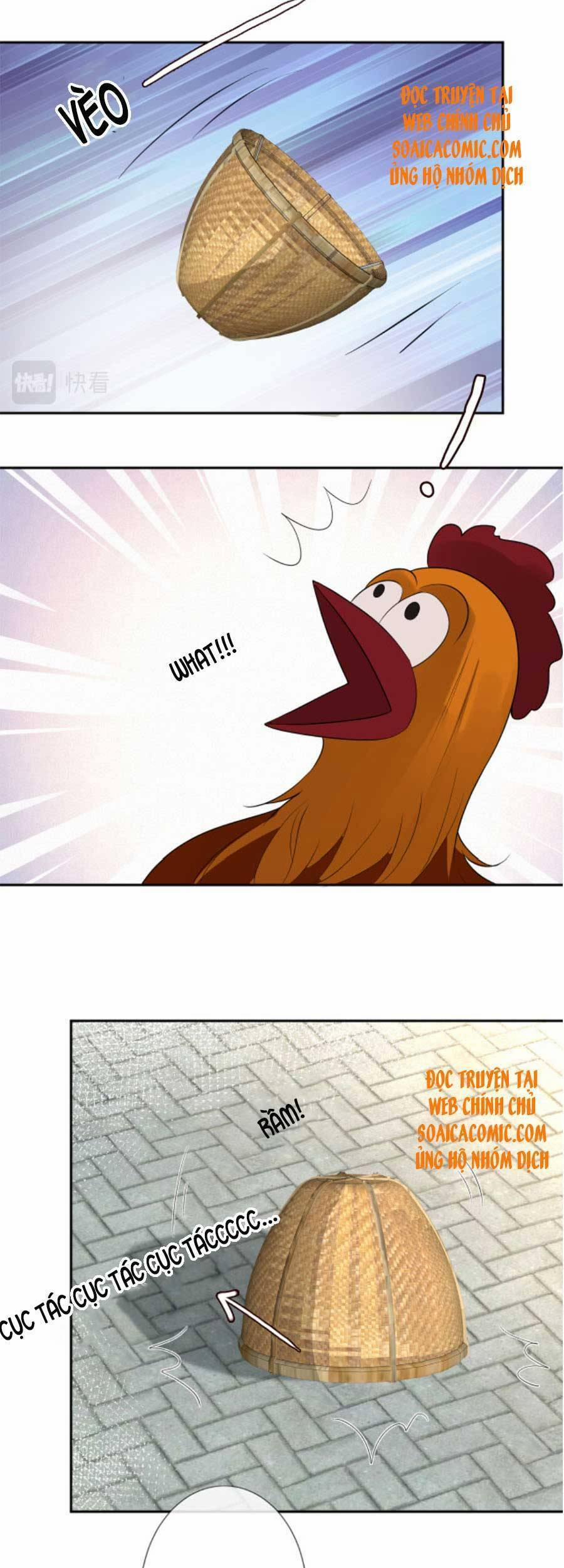 Ôm Khẩn Tiểu Mã Giáp Của Tôi 70 trang 13