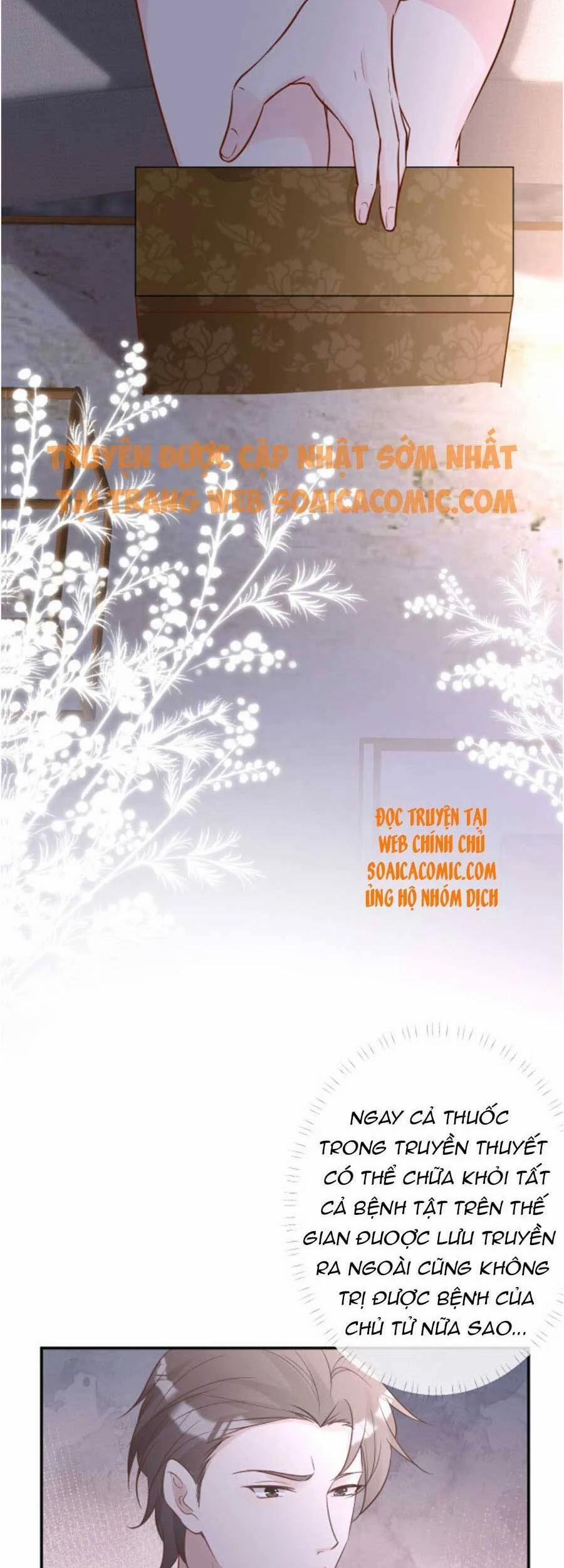 Ôm Khẩn Tiểu Mã Giáp Của Tôi 77 trang 13