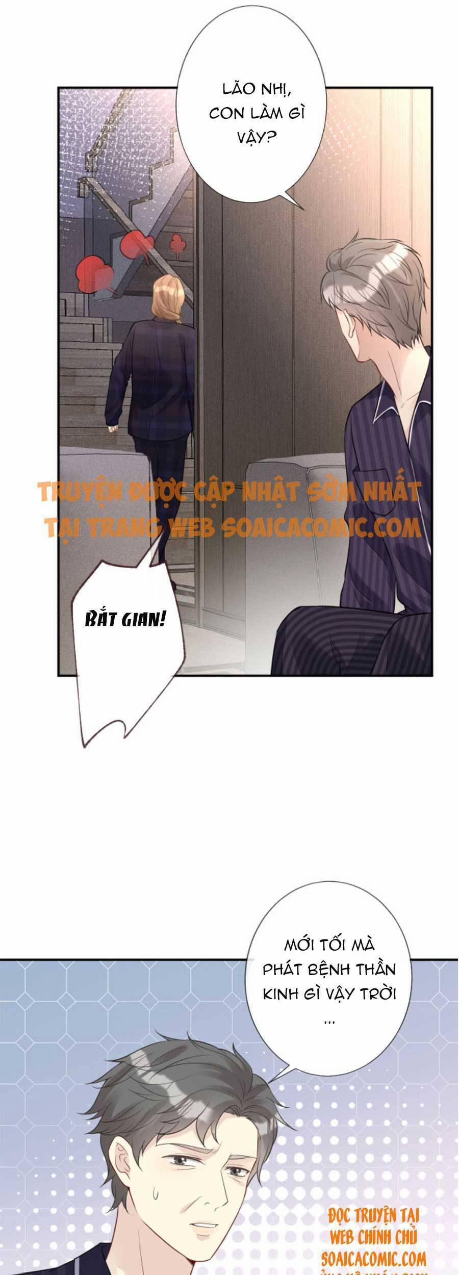 Ôm Khẩn Tiểu Mã Giáp Của Tôi 82 trang 28