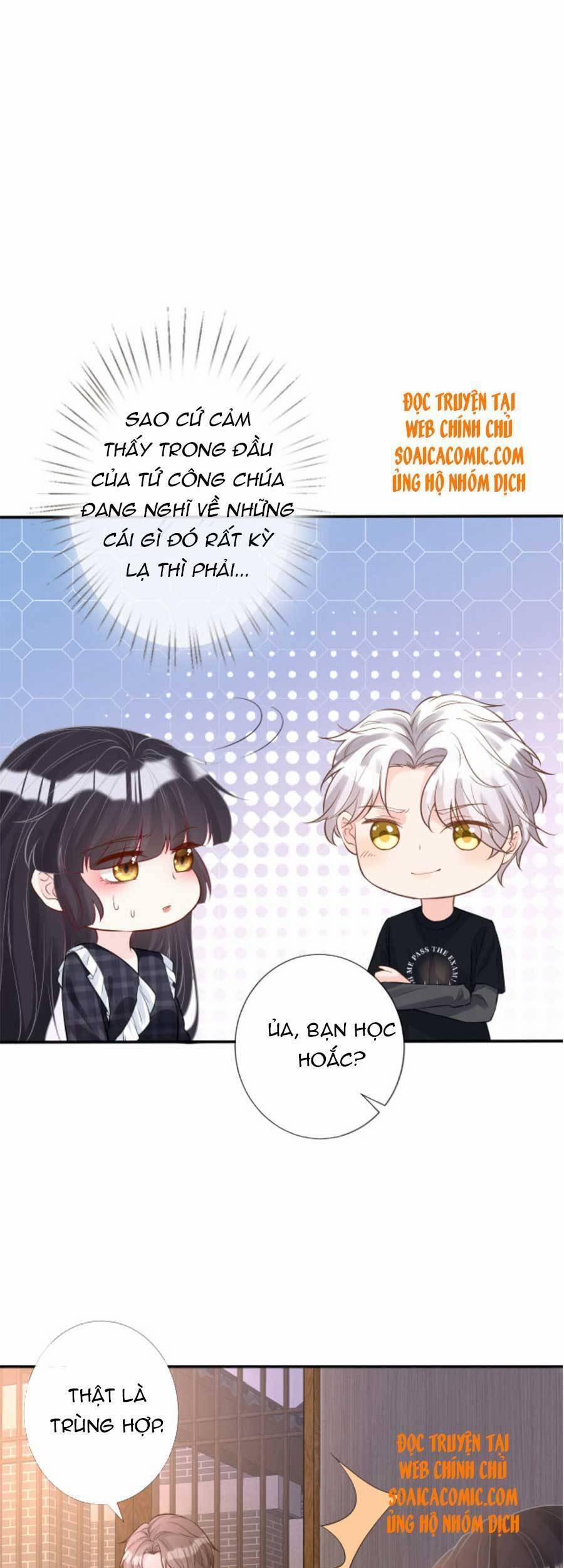 Ôm Khẩn Tiểu Mã Giáp Của Tôi 86 trang 17