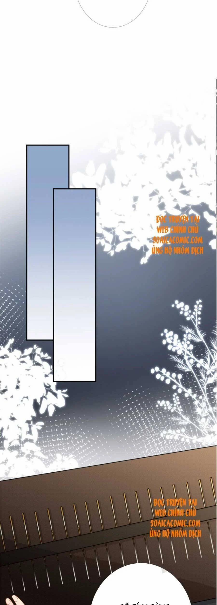 Ôm Khẩn Tiểu Mã Giáp Của Tôi 89 trang 31