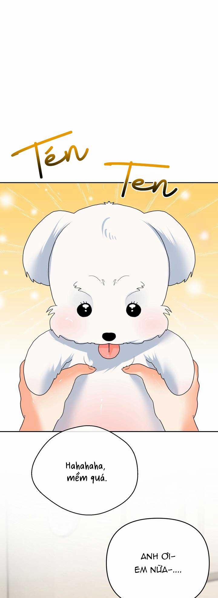 OMEGA CỦA ANH DOYUN 12 0 trang 0