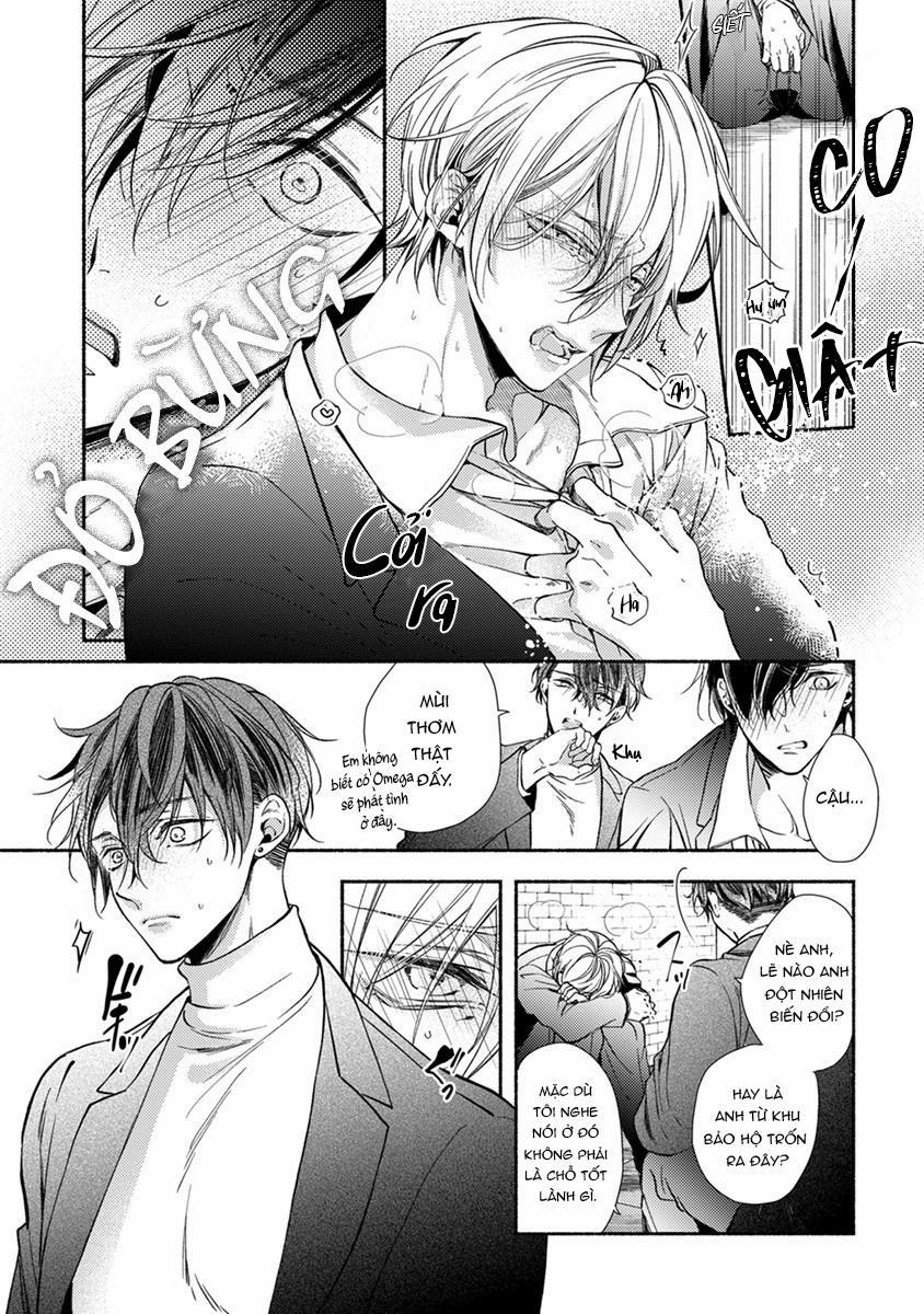 Omega Giả Vờ KIên Cường Đó Là Bạn Tình Của Tôi 1 trang 13