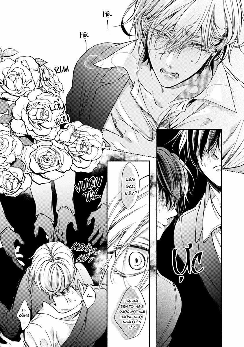 Omega Giả Vờ KIên Cường Đó Là Bạn Tình Của Tôi 1 trang 14