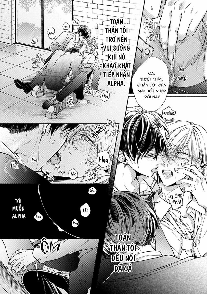 Omega Giả Vờ KIên Cường Đó Là Bạn Tình Của Tôi 1 trang 16