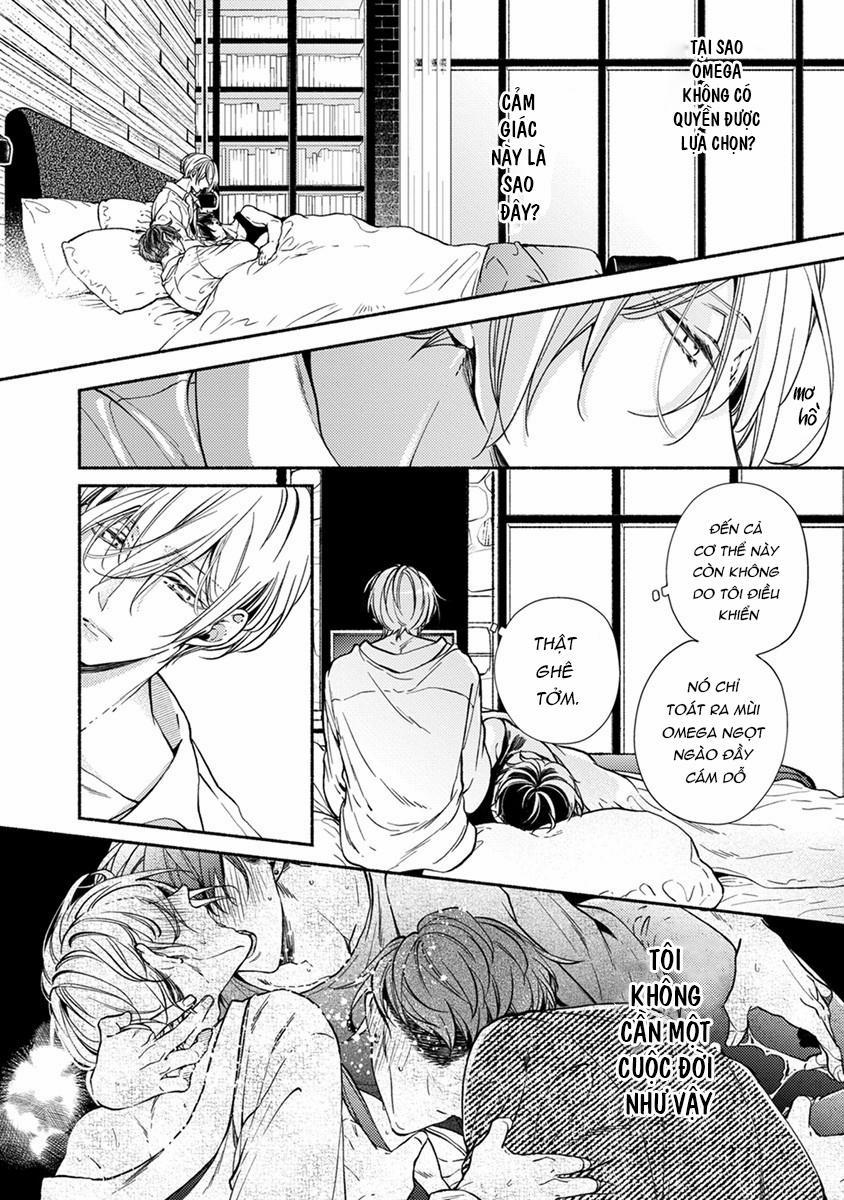 Omega Giả Vờ KIên Cường Đó Là Bạn Tình Của Tôi 2 trang 1