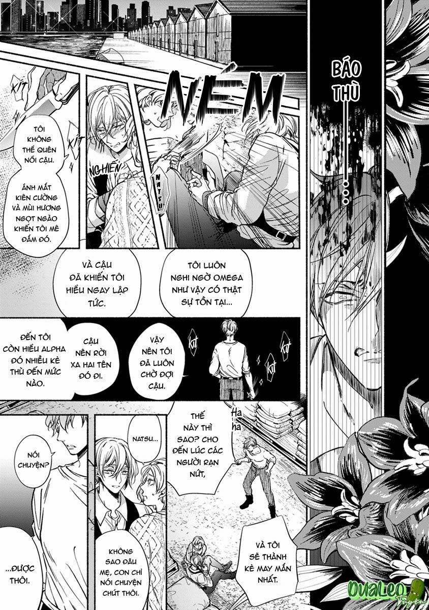 Omega Giả Vờ KIên Cường Đó Là Bạn Tình Của Tôi 3 trang 22