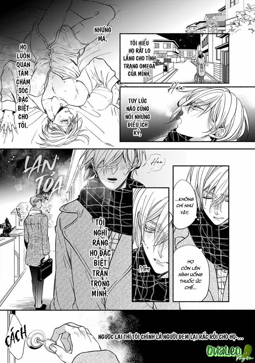 Omega Giả Vờ KIên Cường Đó Là Bạn Tình Của Tôi 4 trang 2