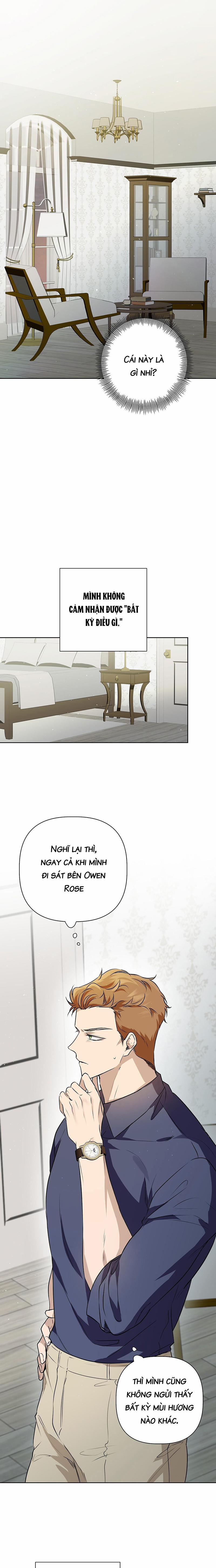 Omega Hoàn Hảo 4 trang 0