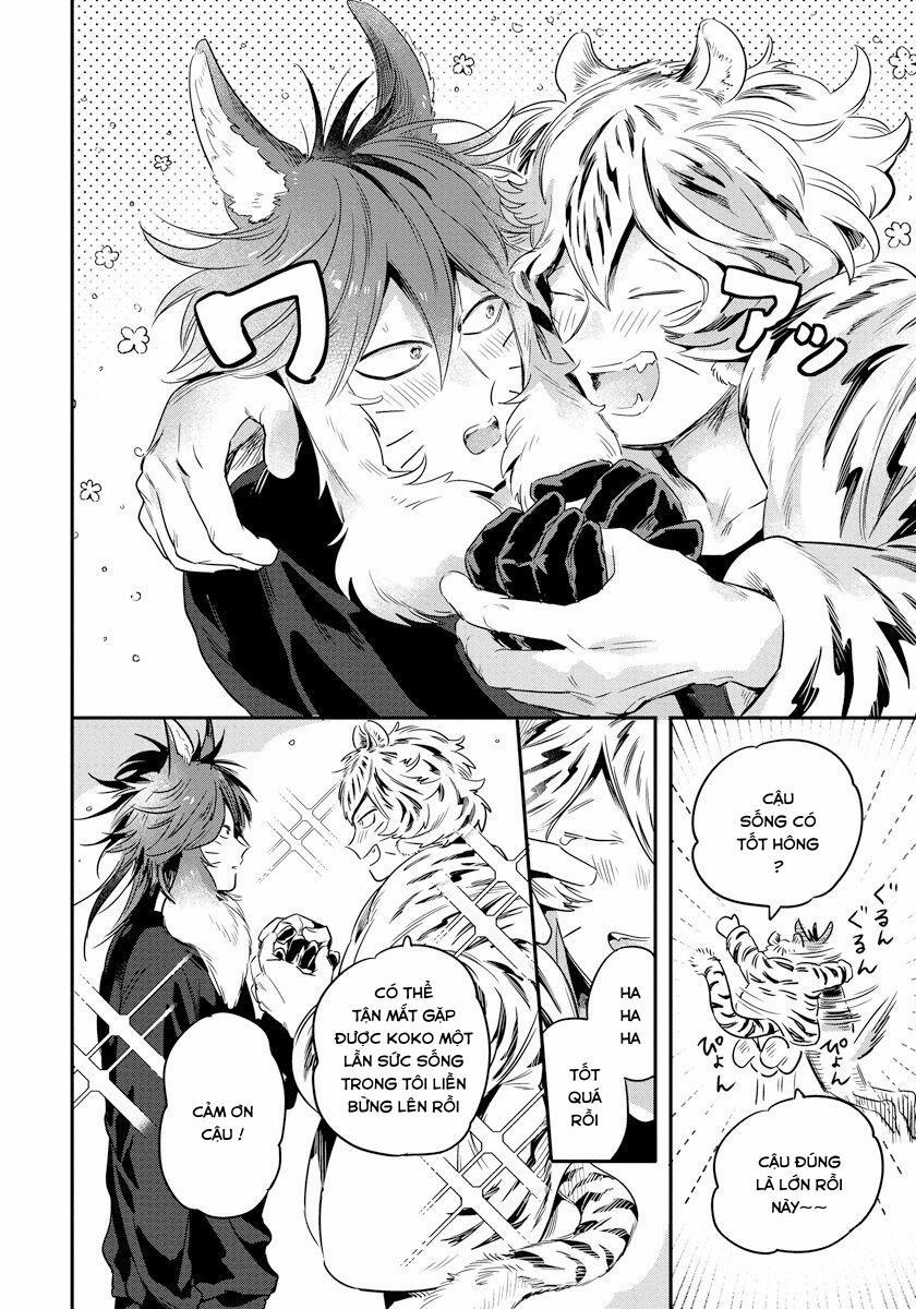 Omega Mùa Xuân Quý Hiếm 2 trang 1