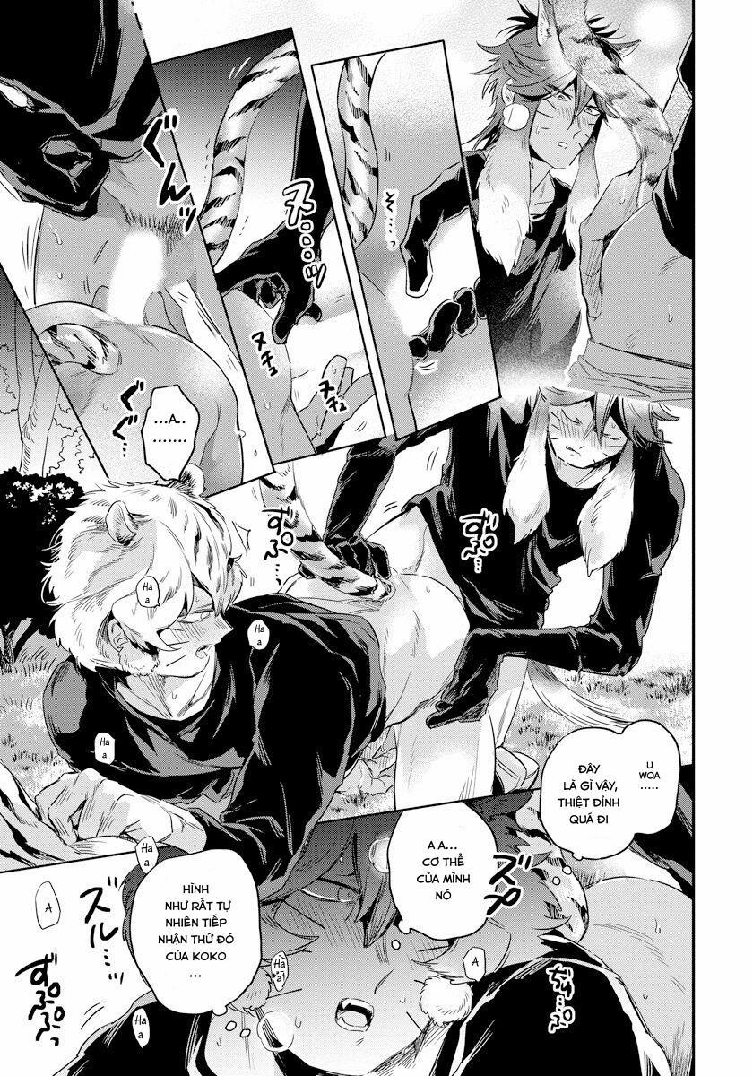 Omega Mùa Xuân Quý Hiếm 2 trang 20