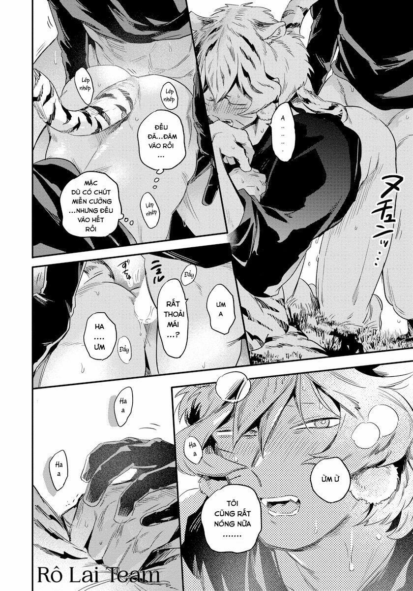 Omega Mùa Xuân Quý Hiếm 2 trang 21