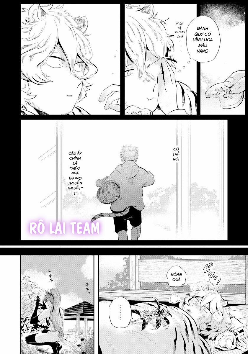 Omega Mùa Xuân Quý Hiếm 4 trang 15