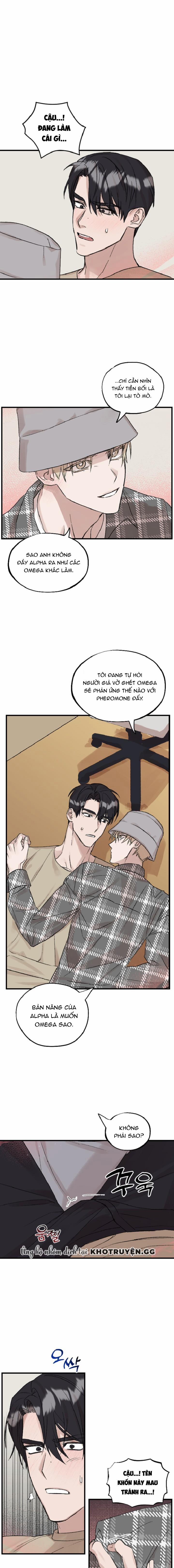 Omega Ngược 4 trang 0