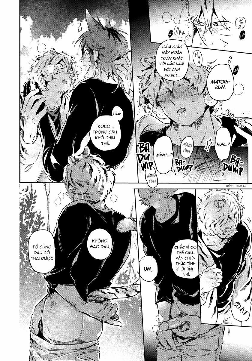 Omega quý hiếm 2 trang 20