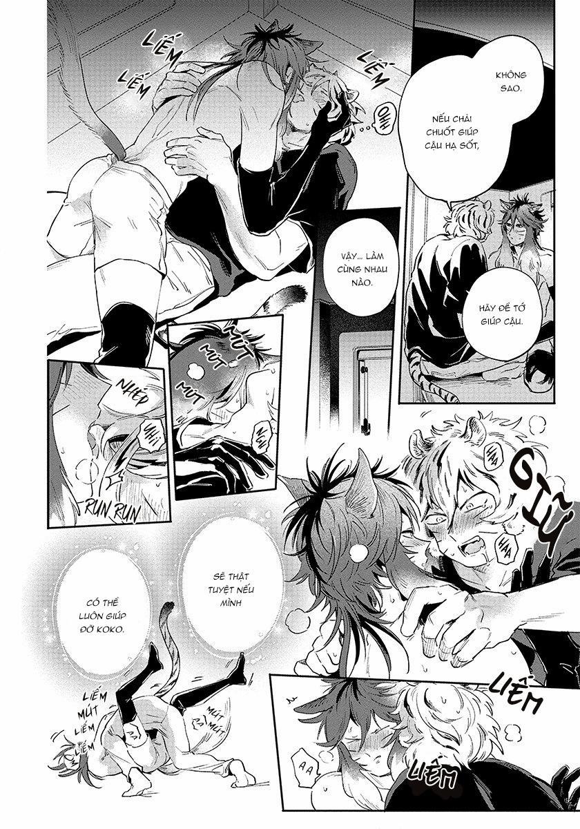 Omega quý hiếm 3 trang 12