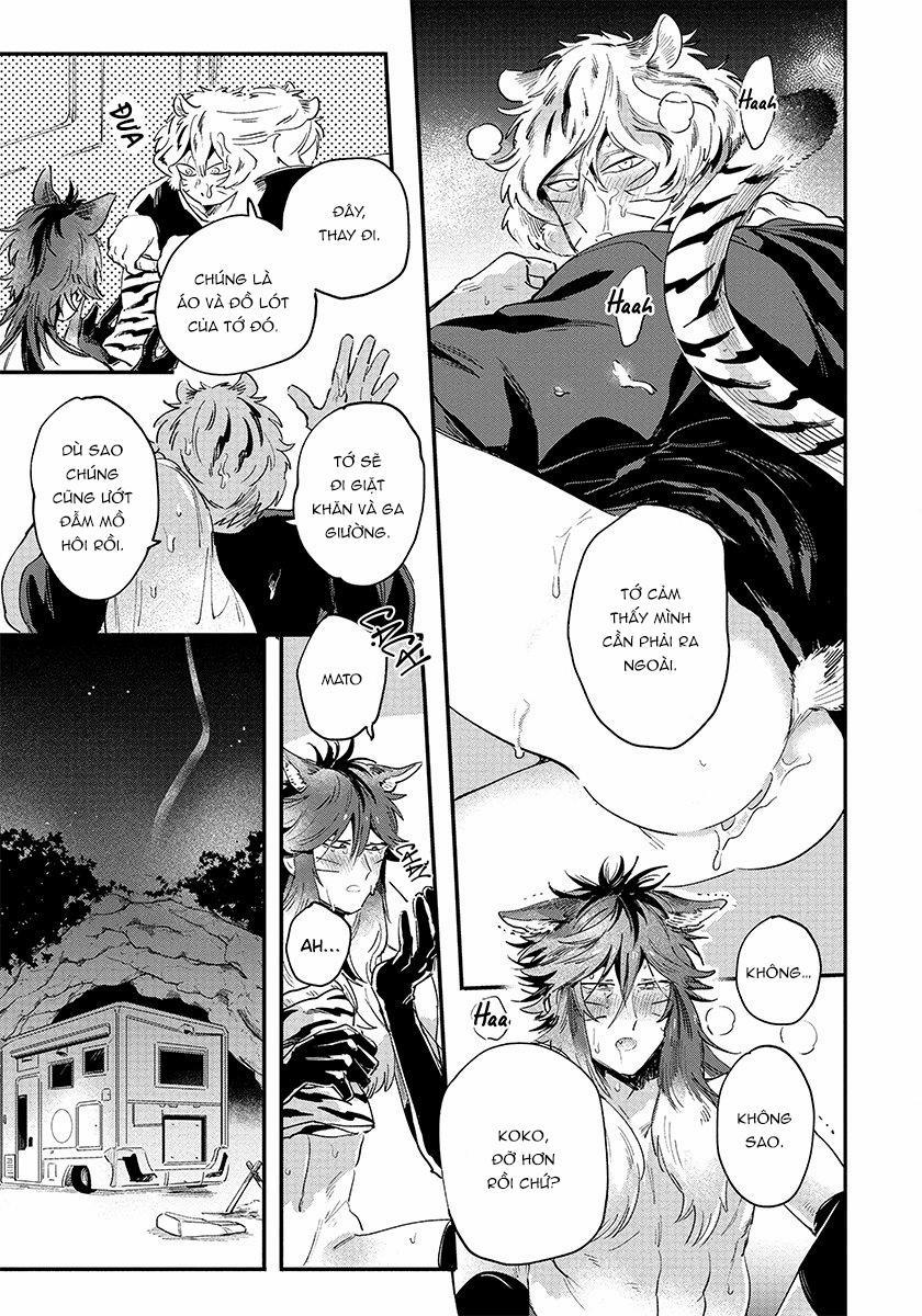 Omega quý hiếm 3 trang 15