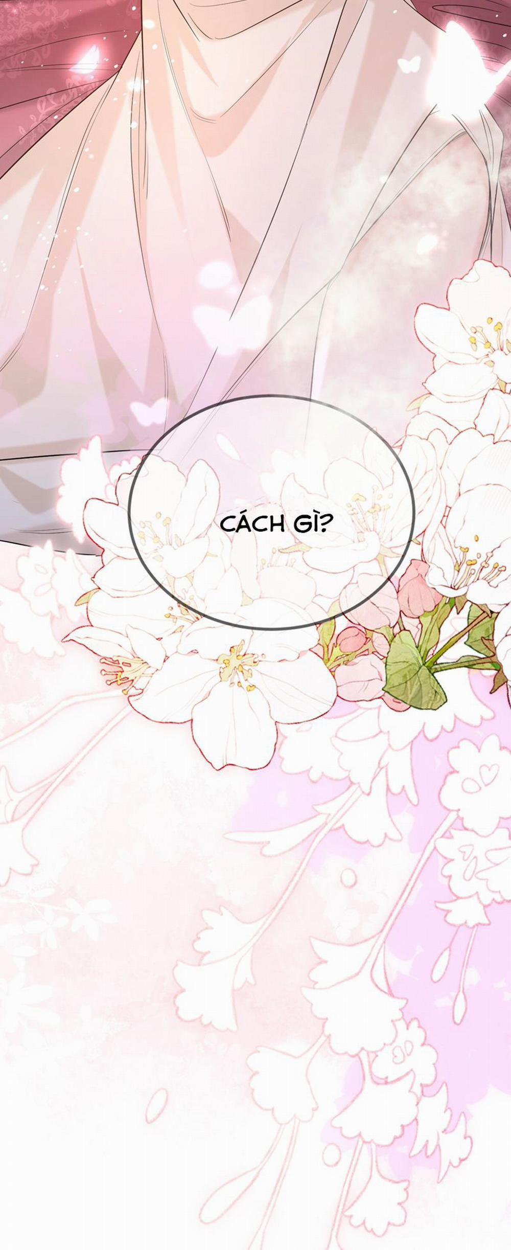 Ôn Hương Diễm Ngọc 26 trang 13