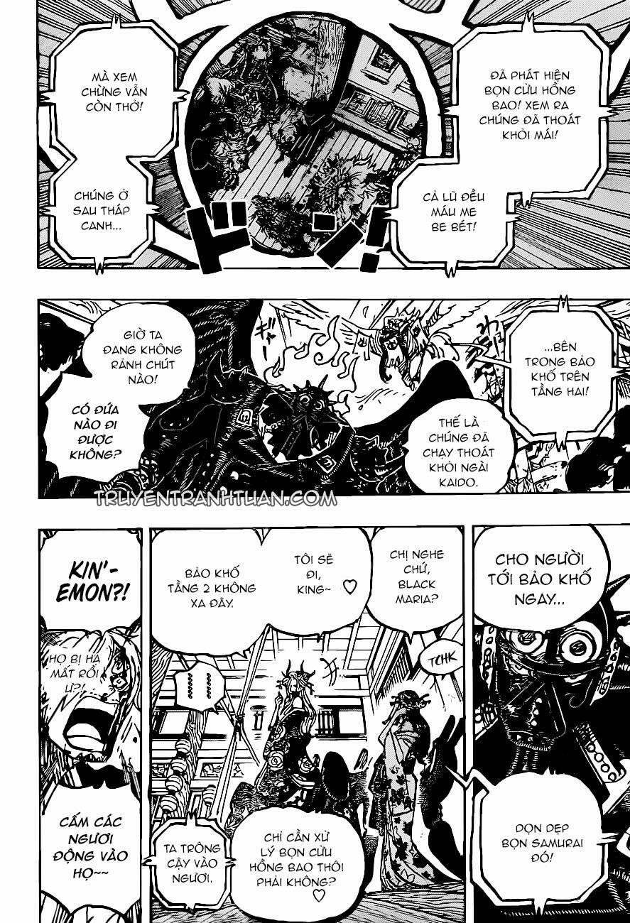 One Piece 1004 trang 14