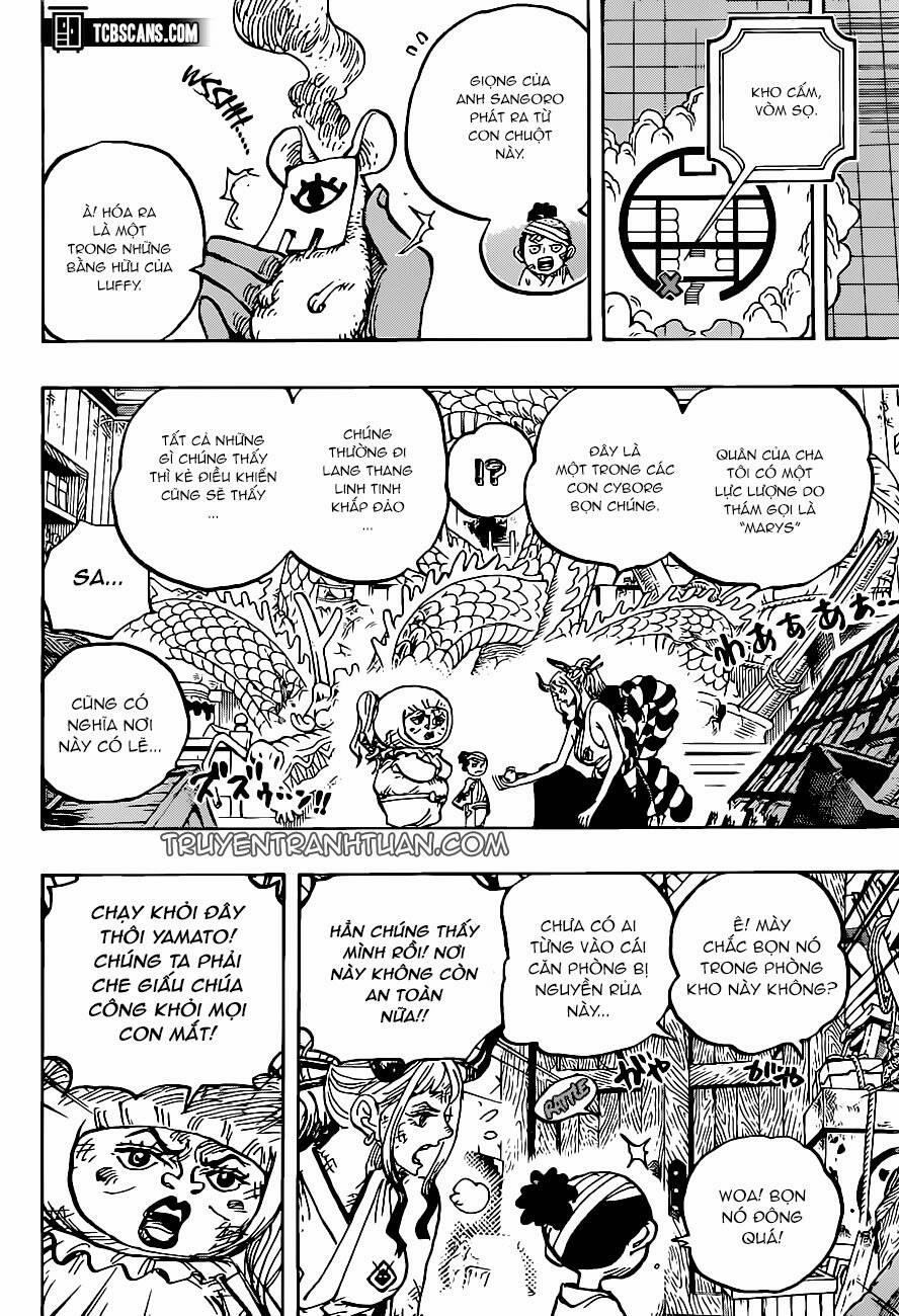 One Piece 1005 trang 11