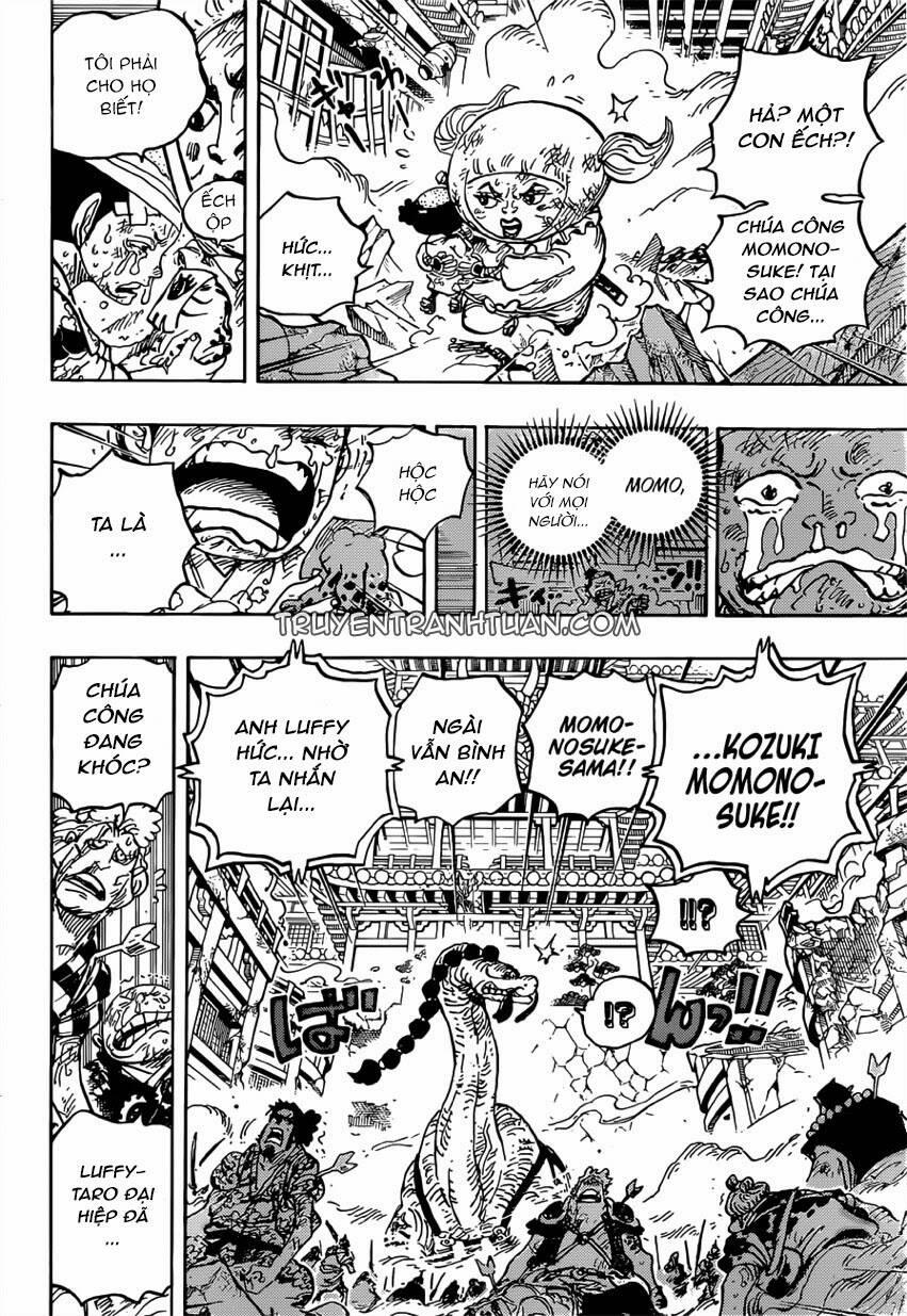 One Piece 1015 trang 9