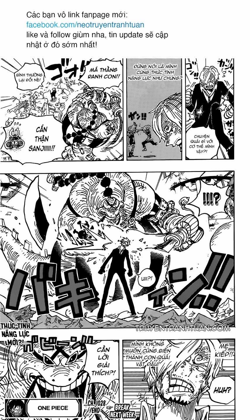 One Piece 1028 trang 15