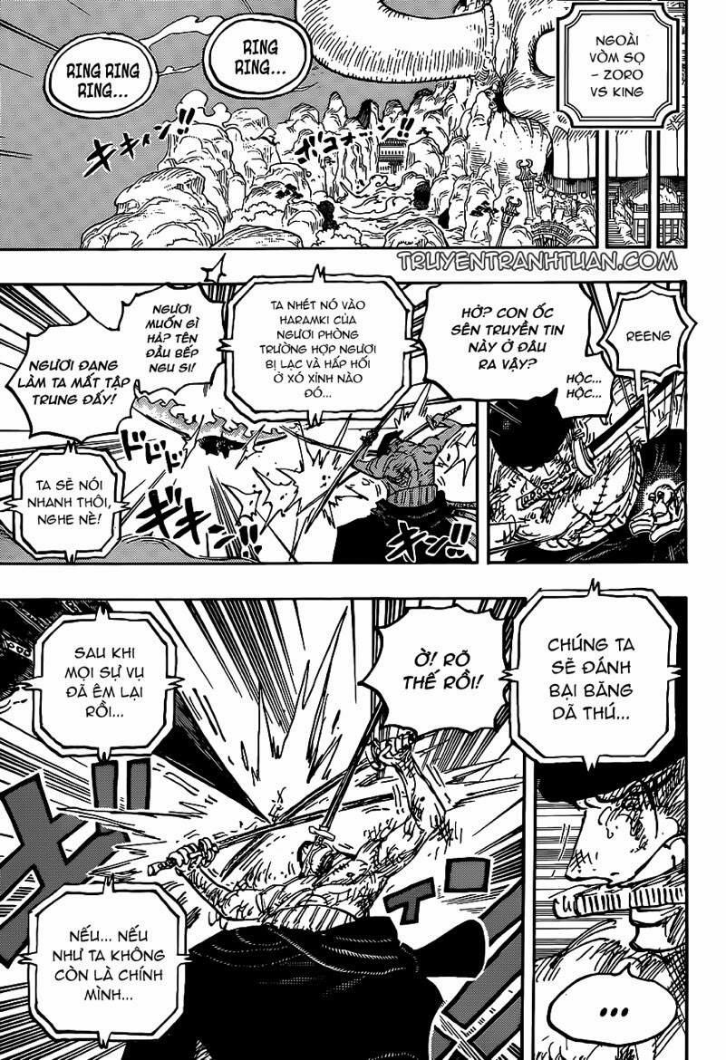 One Piece 1031 trang 14