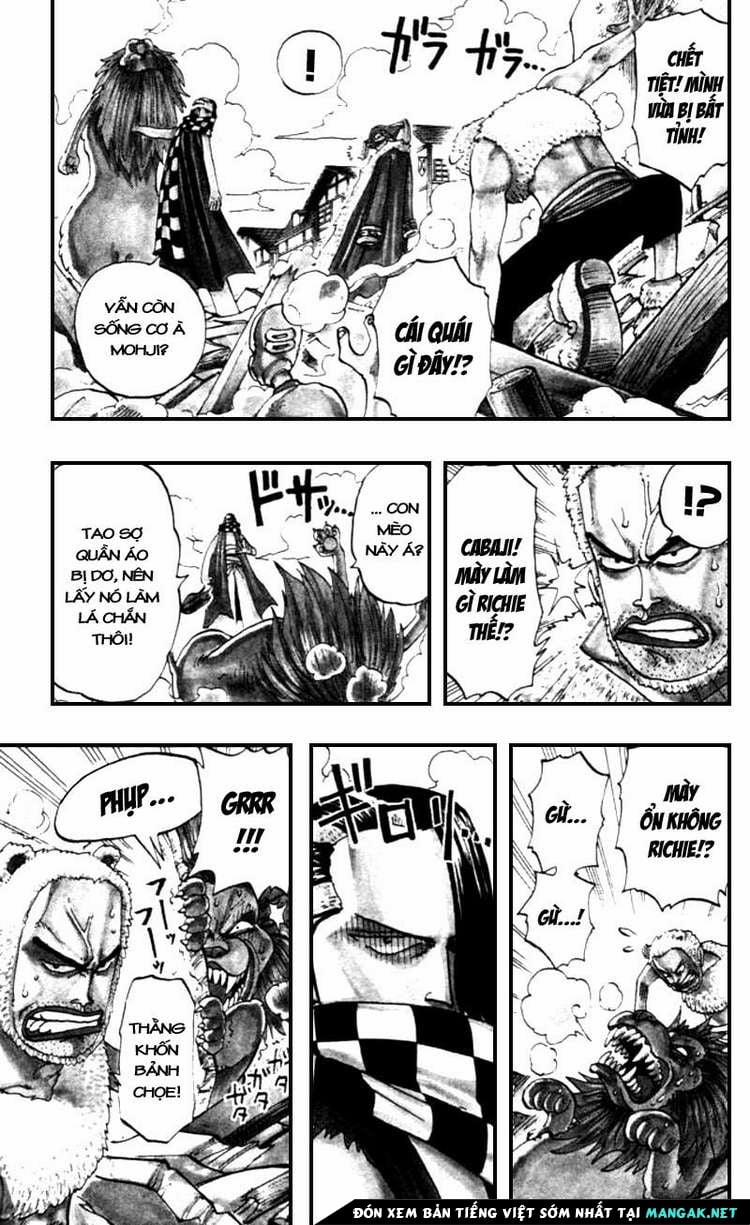 One Piece 16 trang 3