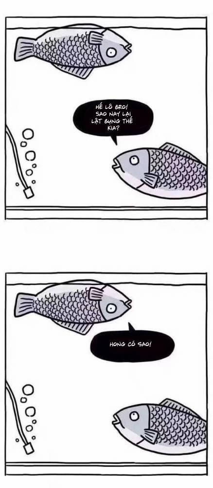 Oneshot Cho Ngày Thêm Vui 23 trang 0